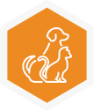 Pet-friendly workplace benefit icon