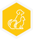 Pet-friendly workplace benefit icon, hover state