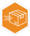 Fast package delivery icon