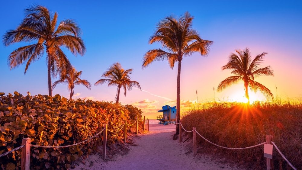 3pl-handoffs-miami